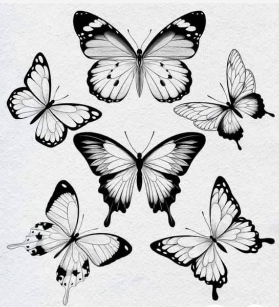 Butterfly flash sheets Tattoo ideas tattooideas tattooinspiration tattoos - Image 1