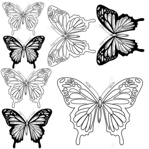 Butterfly flash sheets Tattoo ideas tattooideas tattooinspiration tattoos - Image 4
